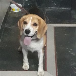 Meet your Posher, Shyna